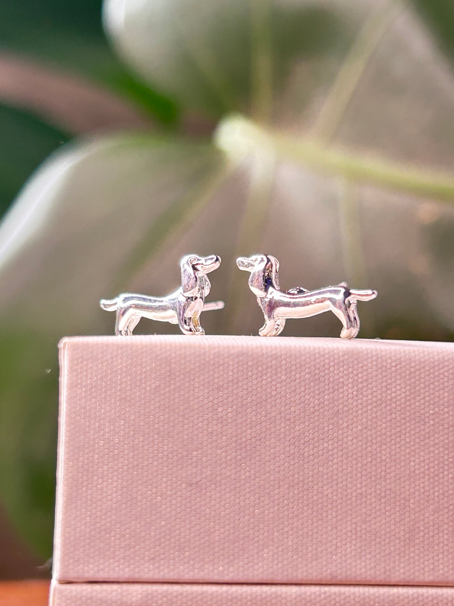 Caravanas perro salchicha Silver