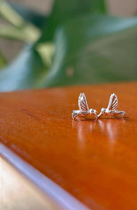 Caravanas colibrí