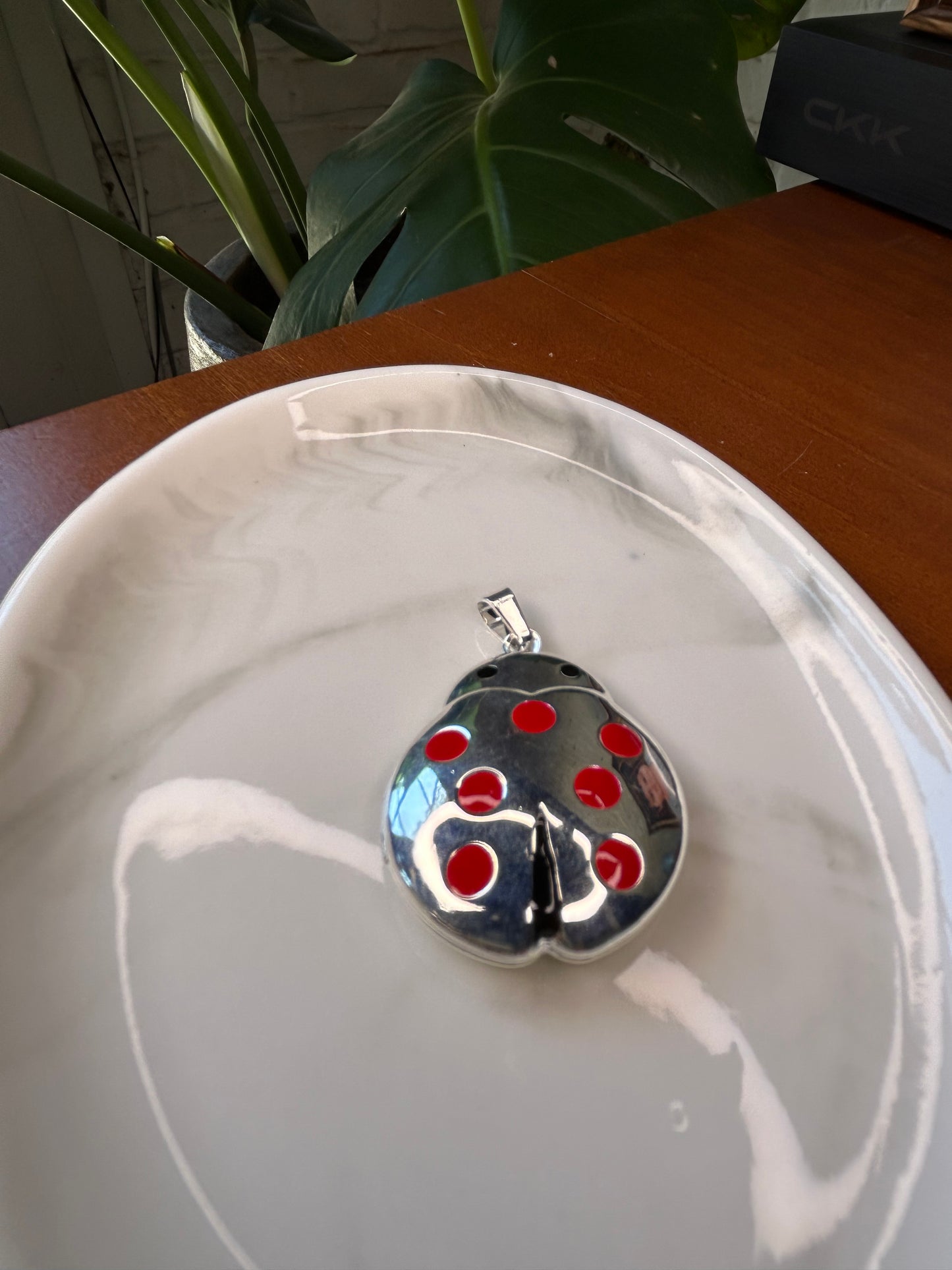 Dije grande mariquita relicario