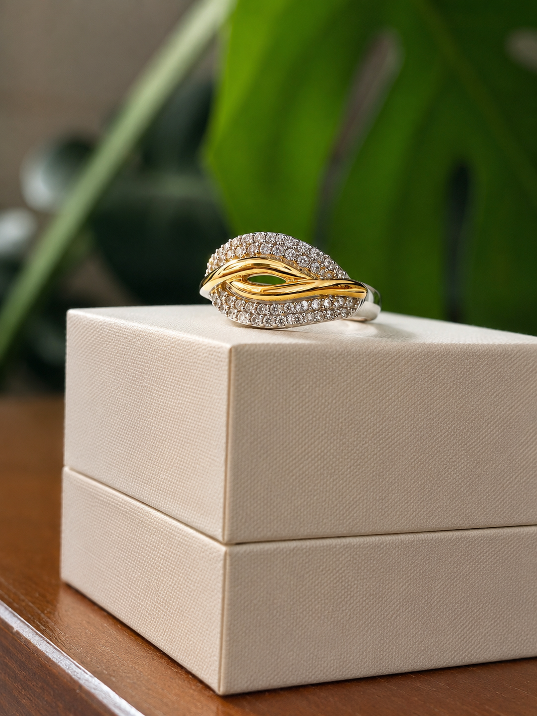 Anillo Dualité