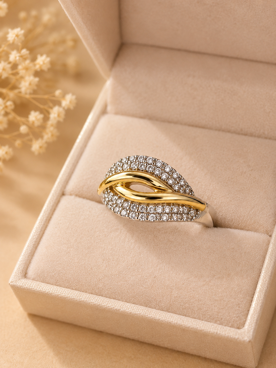 Anillo Dualité