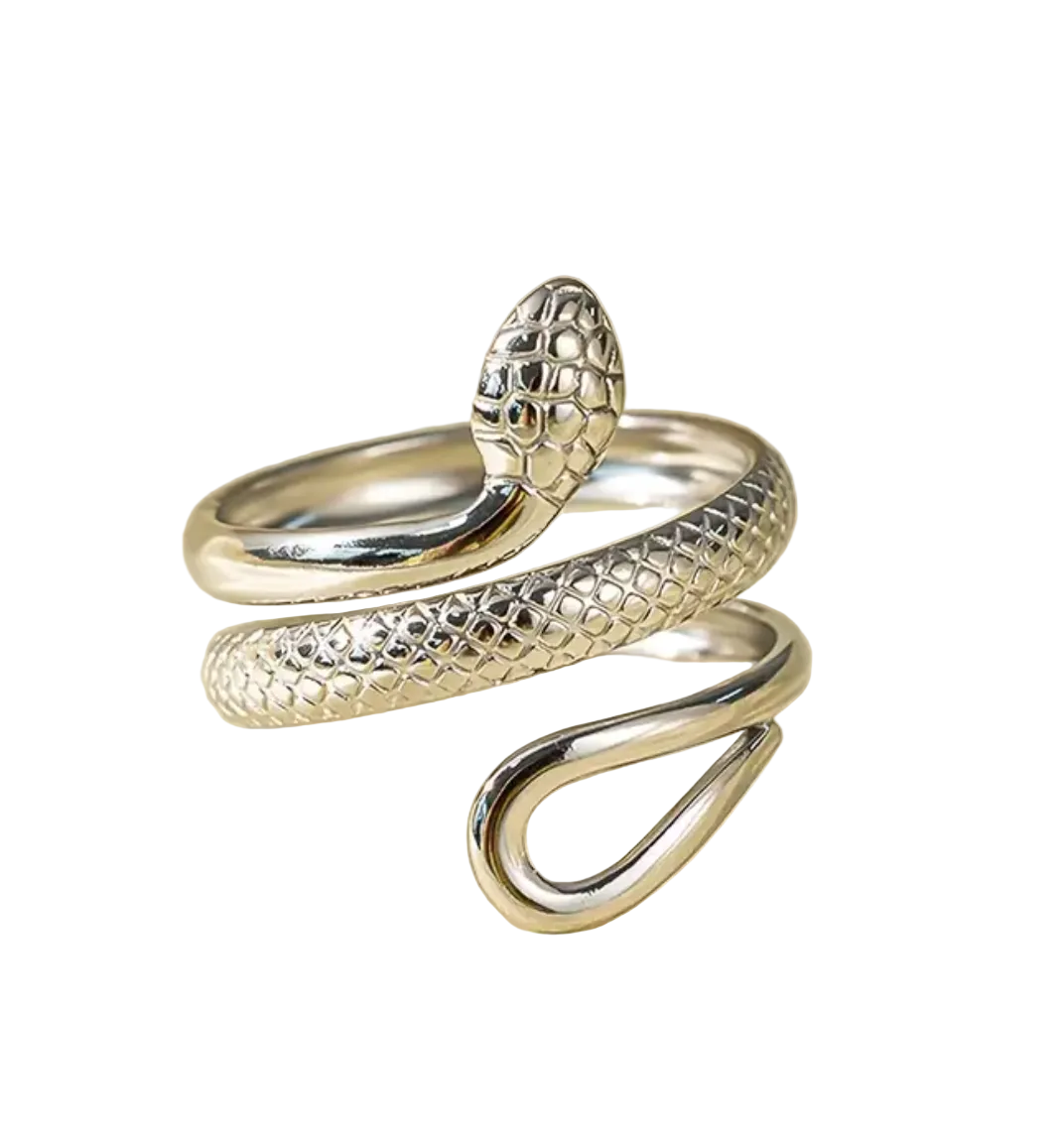 Anillo Snake
