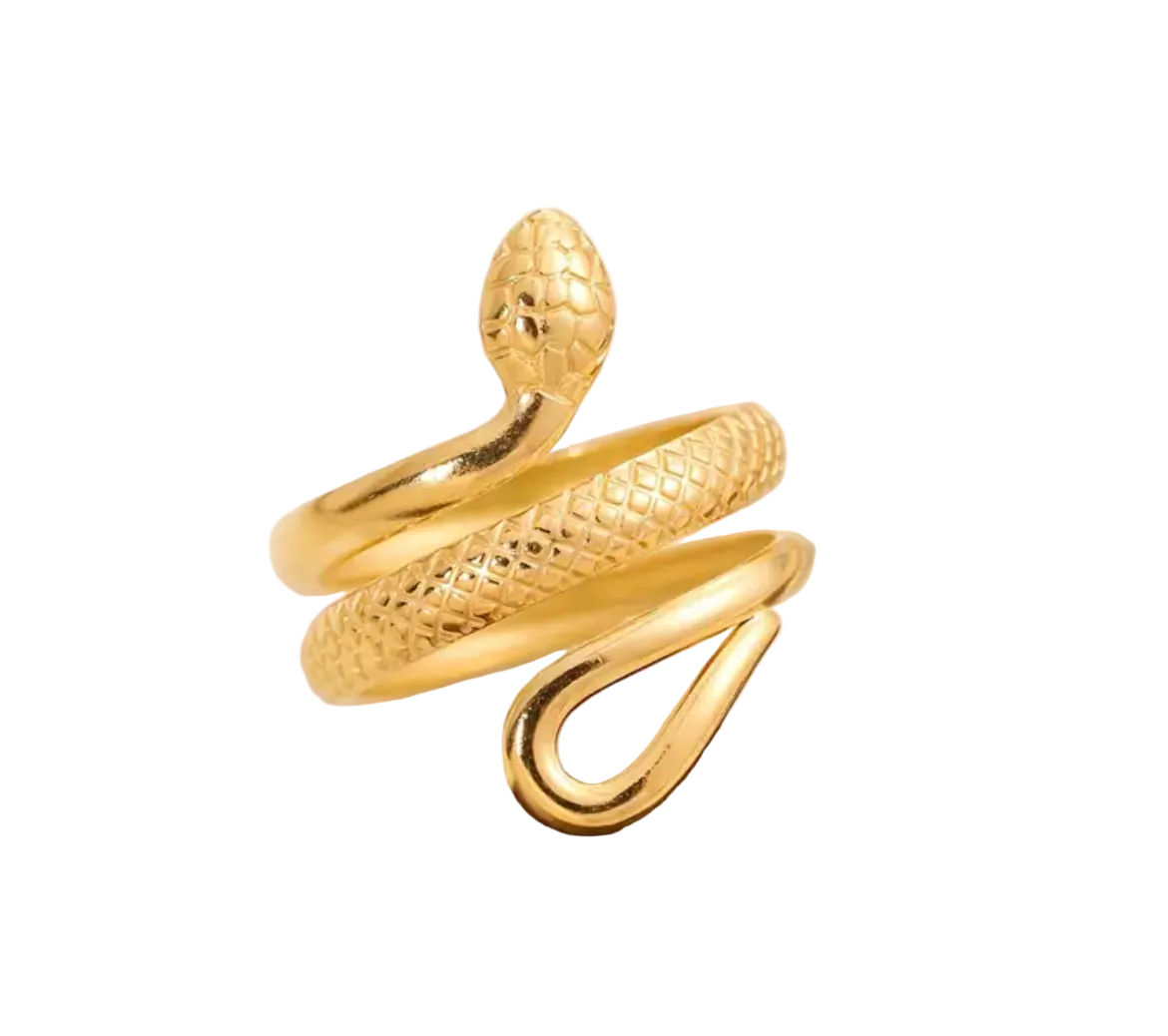 Anillo Snake