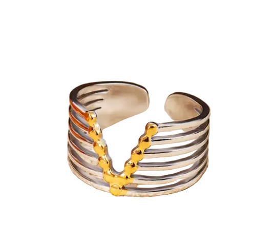 Anillo Bi color